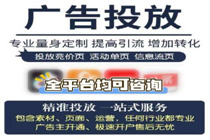 百度竞价广告投放全解析：成功案例揭秘
